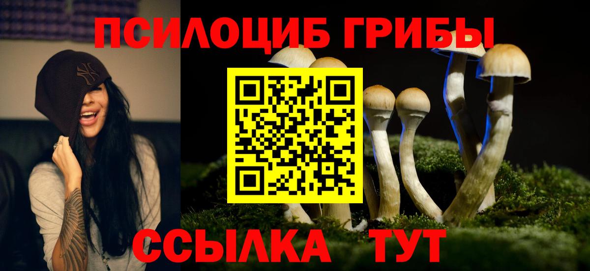 Канск  Галлюциногенные грибы GOLDEN TEACHER  Вход с VPN 