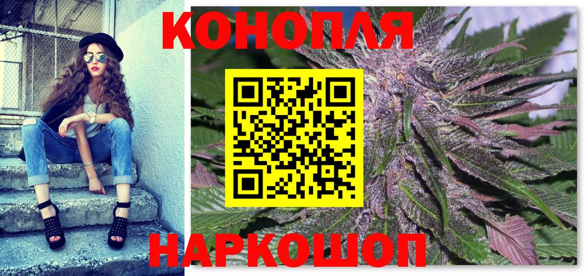 Бошки марихуана сатива Канск